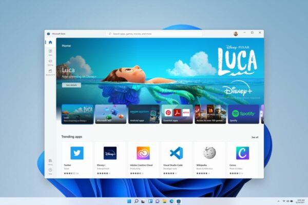Windows 11 Professionnel (Pro) 64 bits