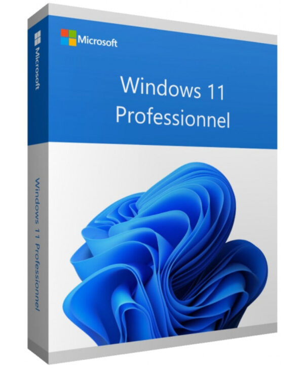 Windows 11 Professionnel (Pro) 64 bits