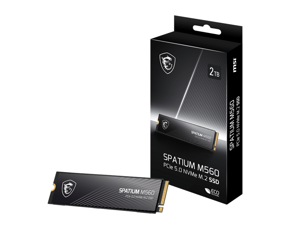 MSI SPATIUM M560 2To M.2