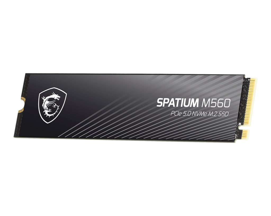 MSI SPATIUM M560 2To M.2