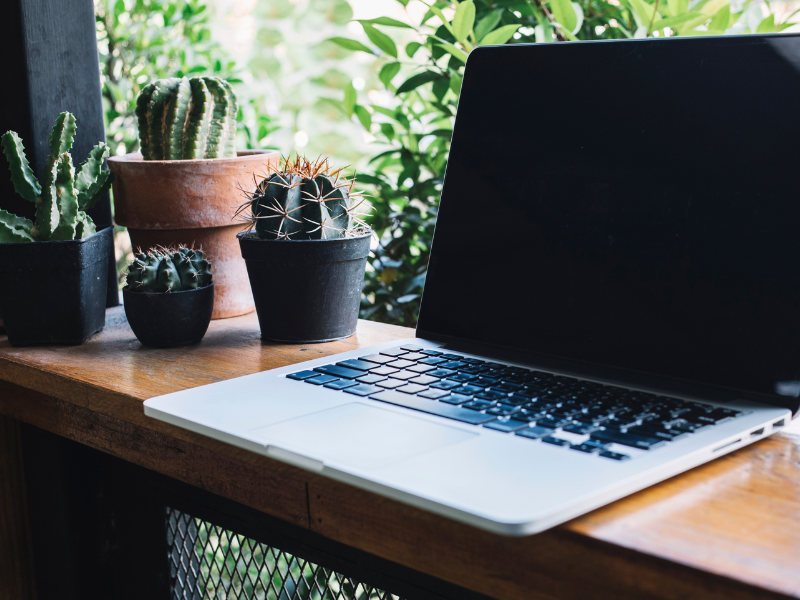 Untitled design (21)